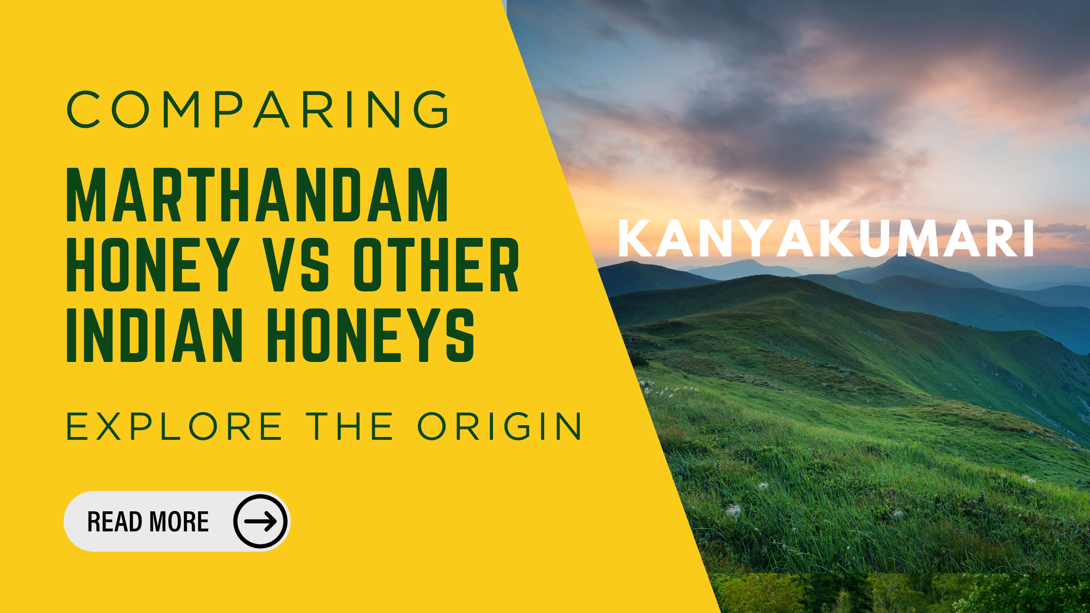 Comparing Marthandam Honey with Other Indian Honeys: What Makes It Stand Out?